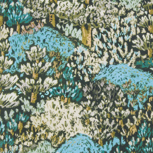 ��ǰ�̹���