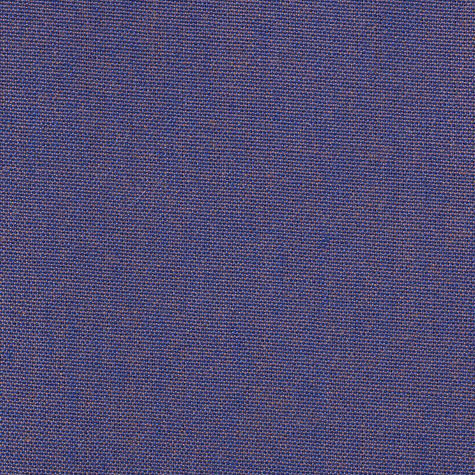 ǰ̹